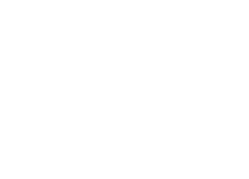 Logo Lec Group